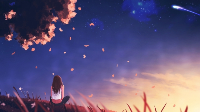 �����ʦ������